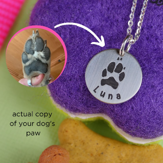 Pet Paw Print Necklace - Custom Engraving